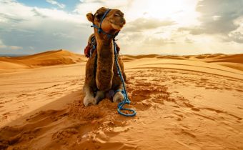 Morocco