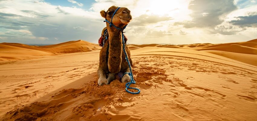 Construction of substation in Morocco complete Morocco