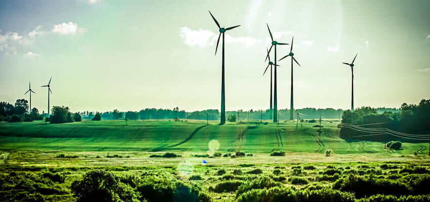 TenneT to invest up to €5bn a year into energy transition renewable