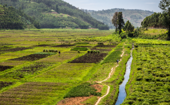 Rwanda