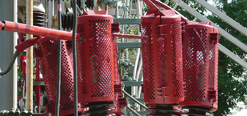 North Carolina utility installs protective devices to deter squirrels and minimize outages Squirrel cages