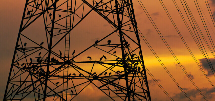 Ofgem建议拨款324亿美元改造英国的能源网络 transmission tower