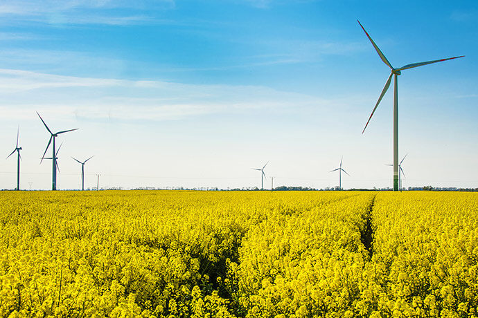 Cargill introduces FR3r™ natural ester, a new rapeseed dielectric fluid w8 2023 - Cargill - Featured news on the website