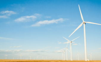 wind farm